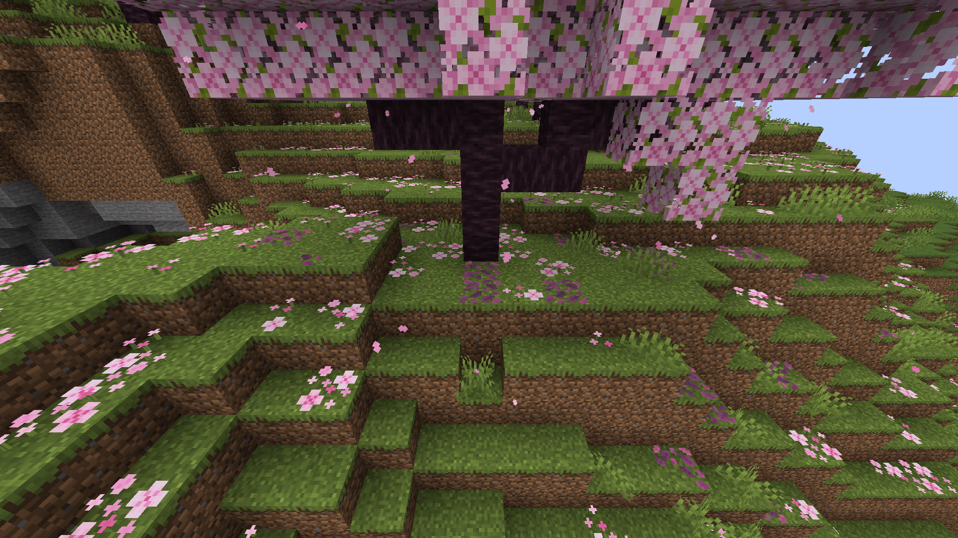 ADJ Blocks