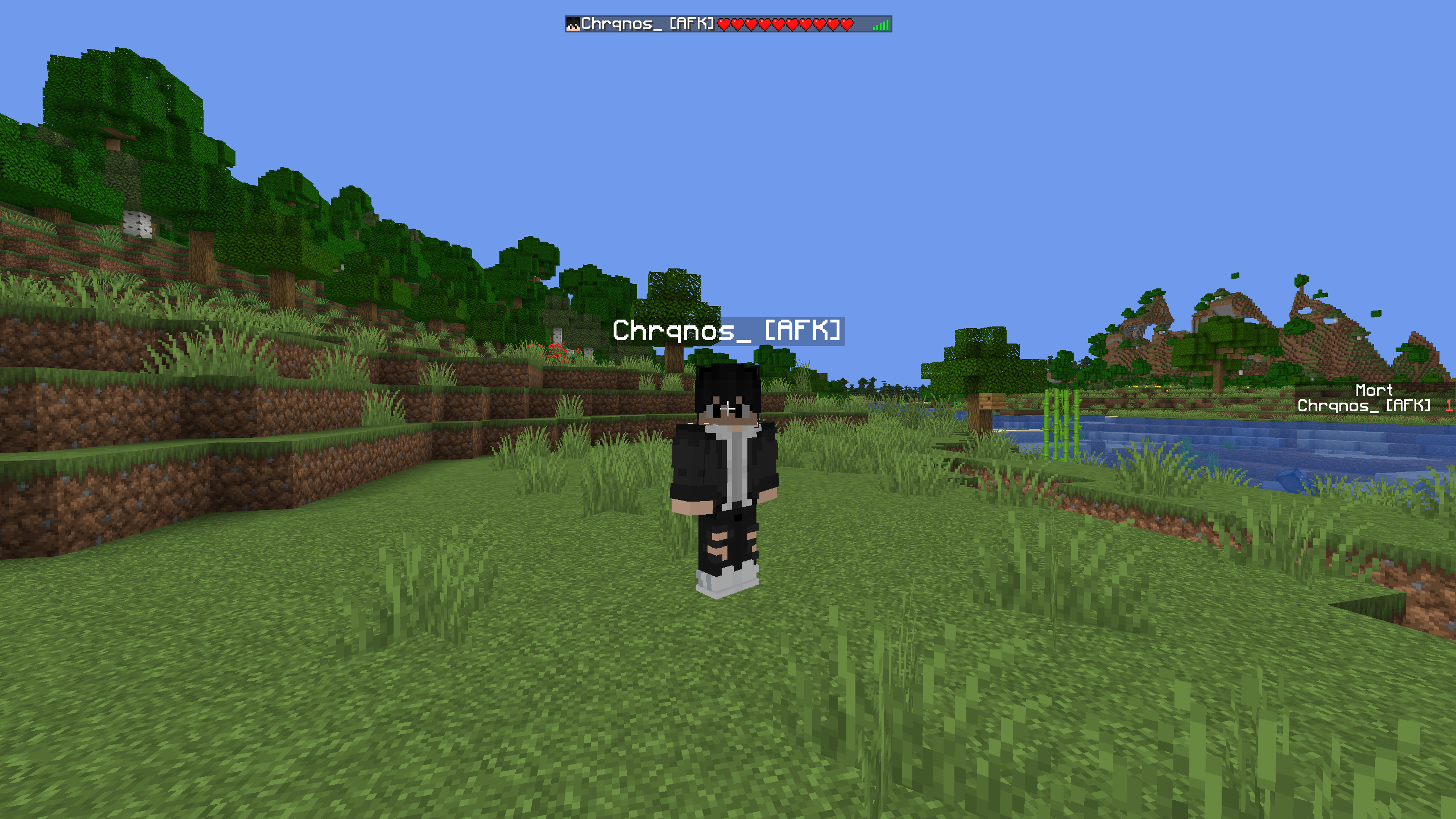AFK Player