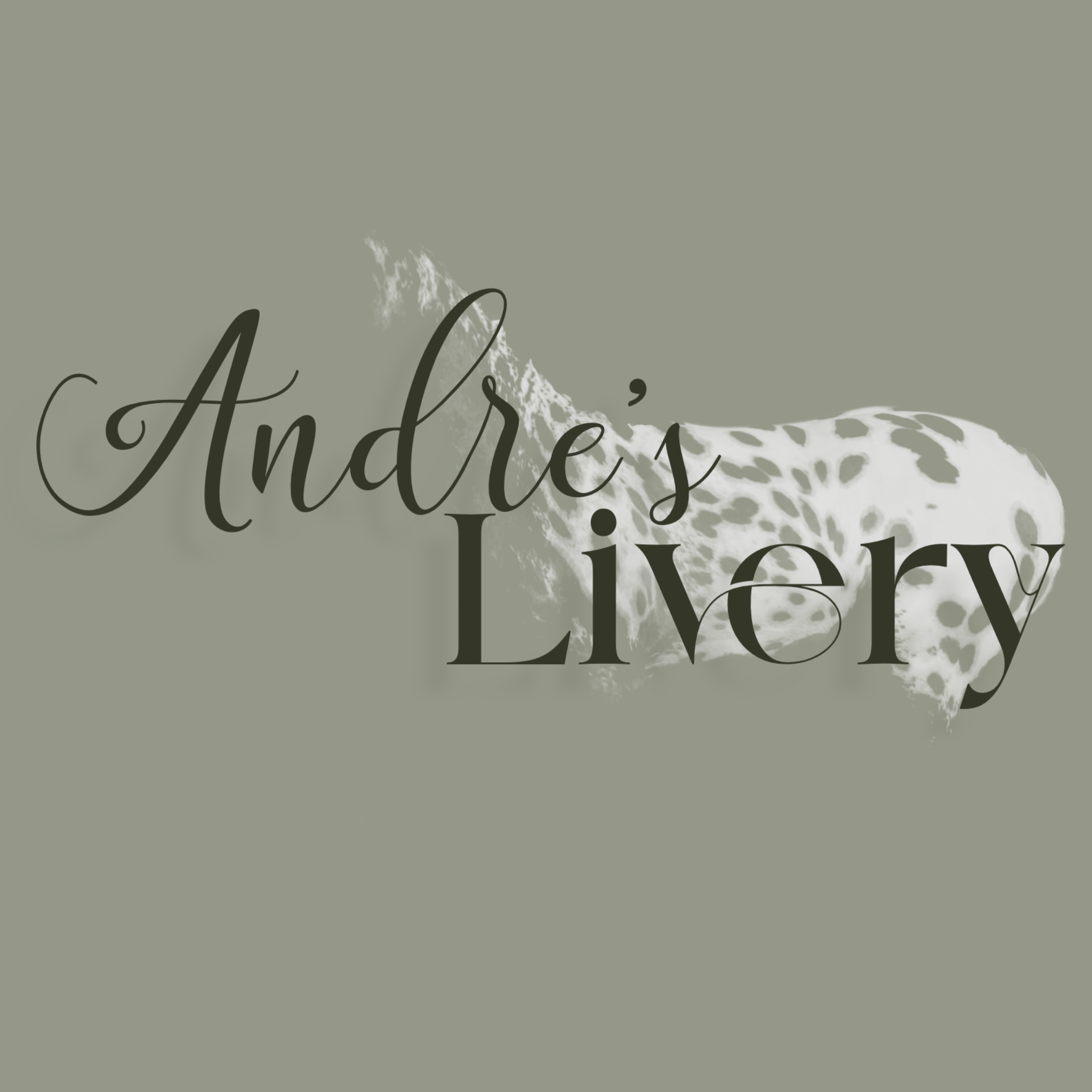 Andre's Livery - A SWEM Addon