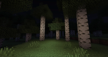 Andy's Flashlight
