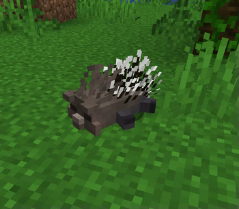 Animal Garden - Porcupine