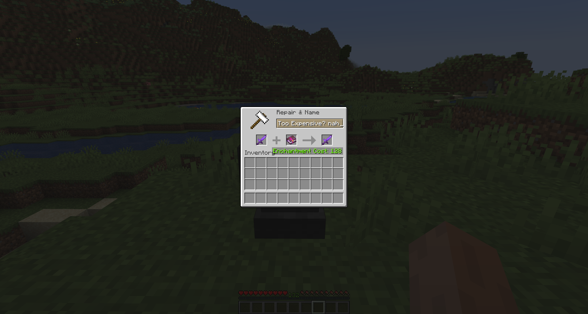 Anvil Never Too Expensive