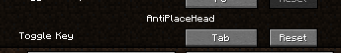 AntiPlaceHead