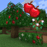 Apple Tree