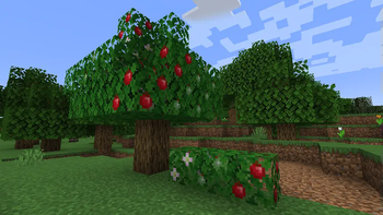 Apple Tree