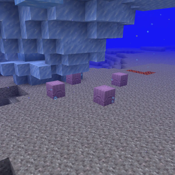 Aquatic Shulkers