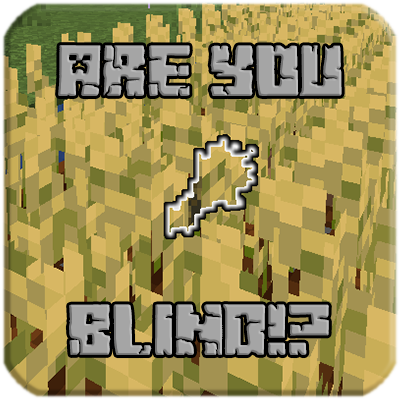 Are You Blind!?