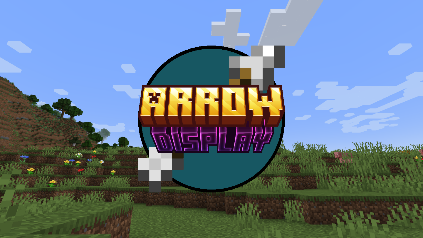 Arrow Display