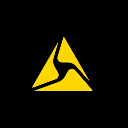 AXON-Overlay
