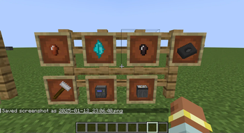 Bags & Coins