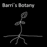 Barri´s Botany