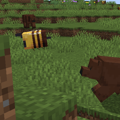 Bear Minimum