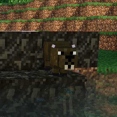 Myssyhead's Beavers
