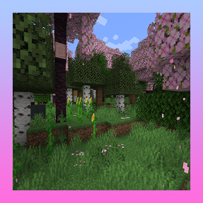 Better Flowers Forest