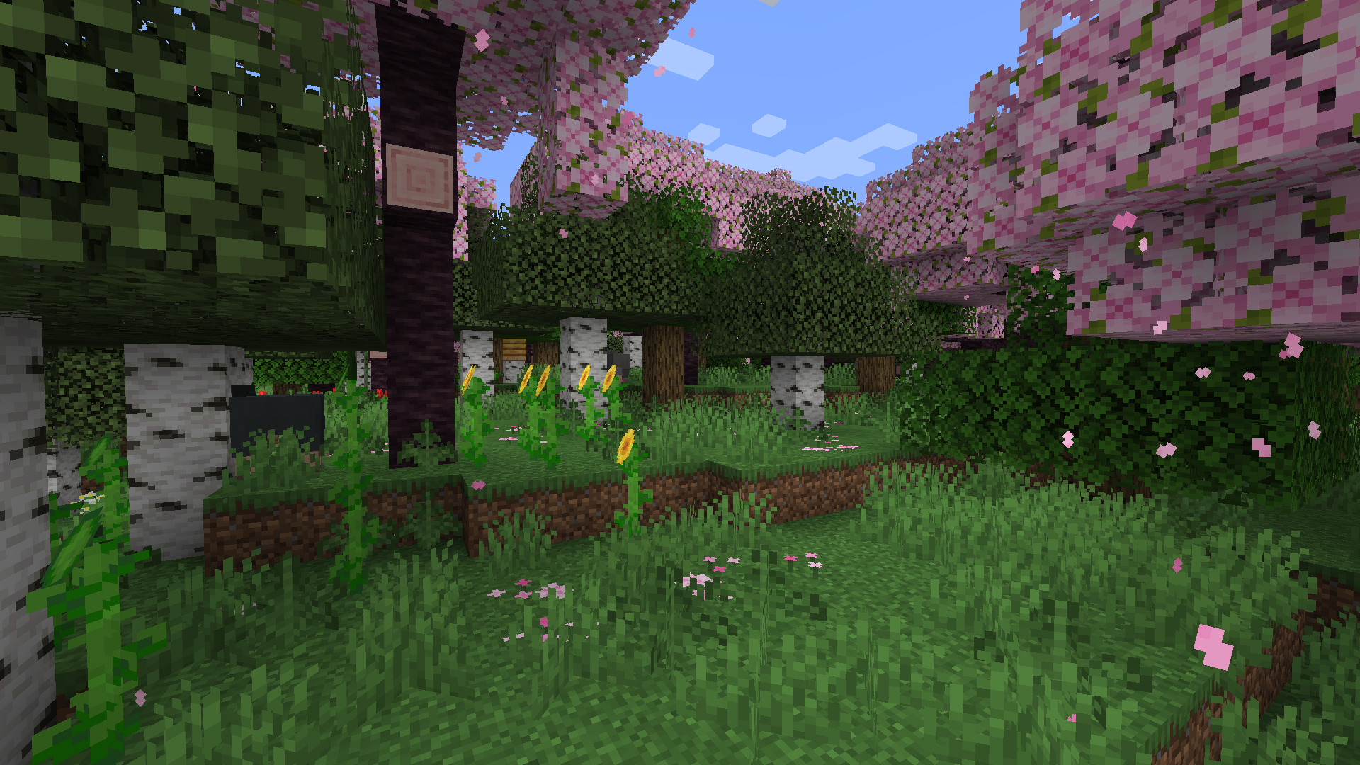 Better Flowers Forest