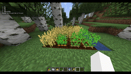 BetterHarvest