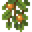 Better Lush Caves