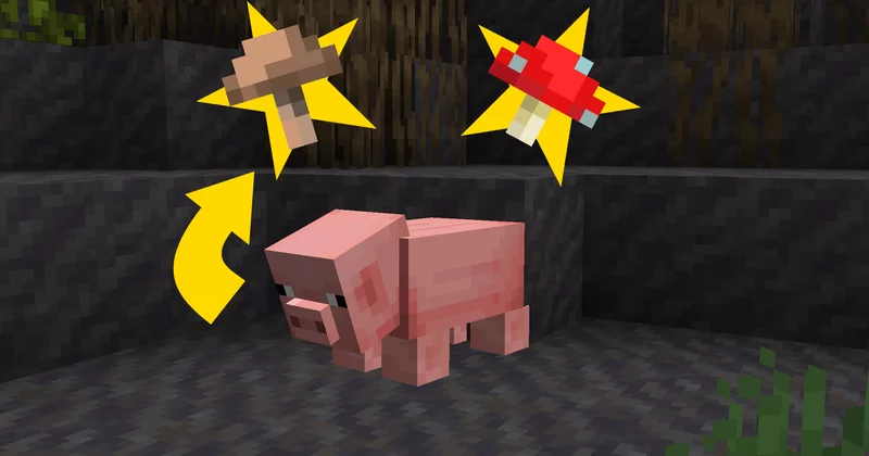 Better Pigs