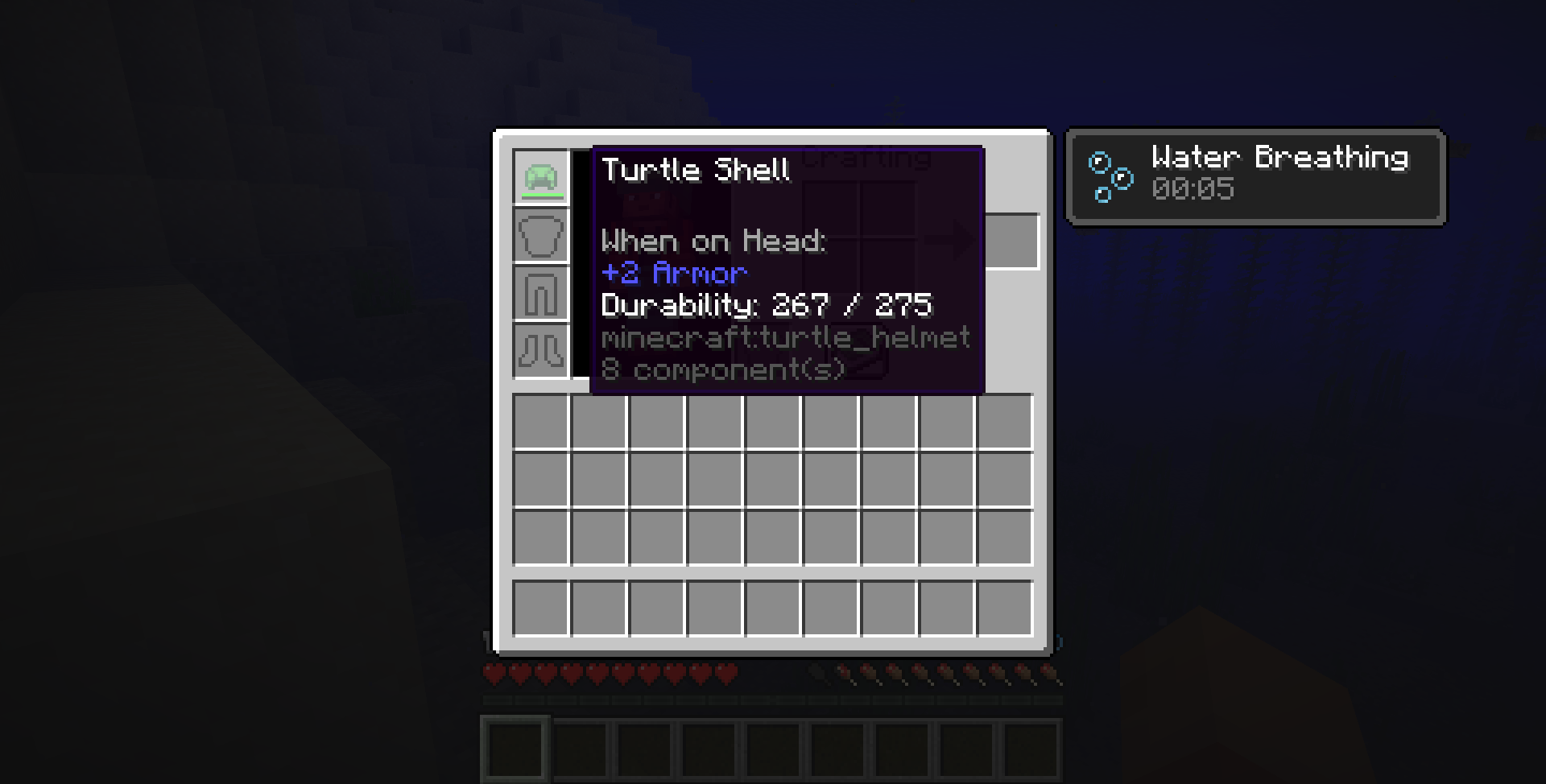 Better Turtle Helmets