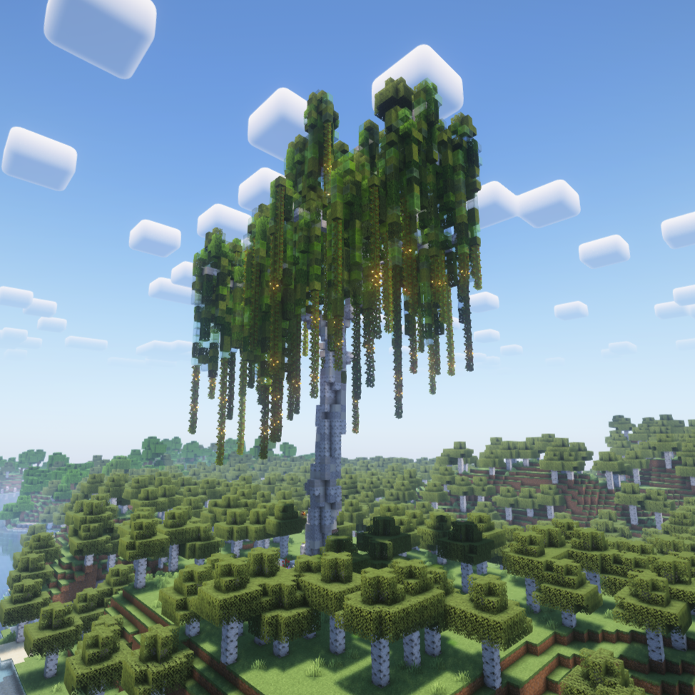 Big Birch Tree