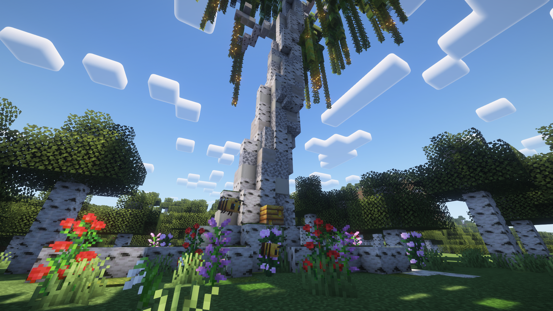 Big Birch Tree