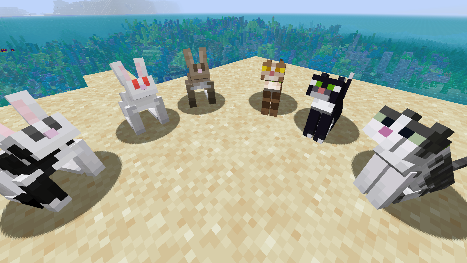 Big Cats and Rabbits