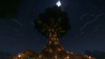 Big Oak Tree
