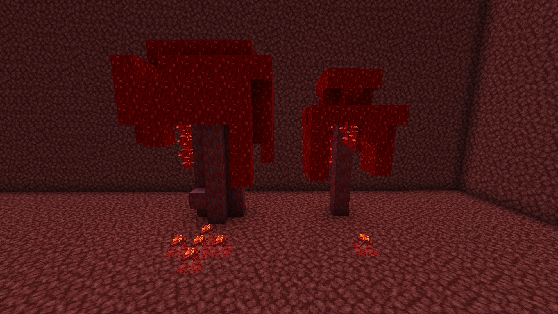 Big Fungus