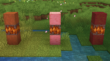 Biome Heart