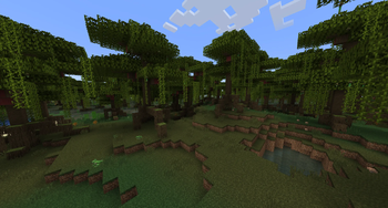 Biome Vote Swamp