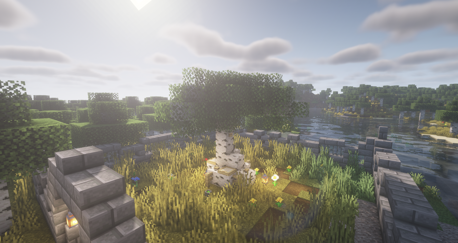 Birch Allergy