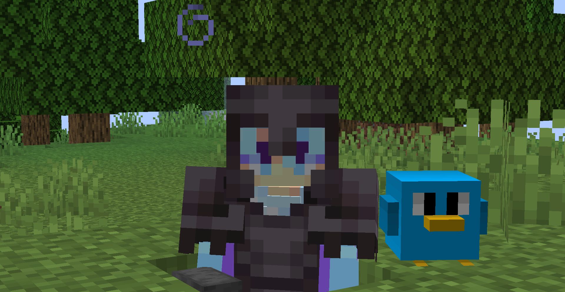 Blocky Birbs