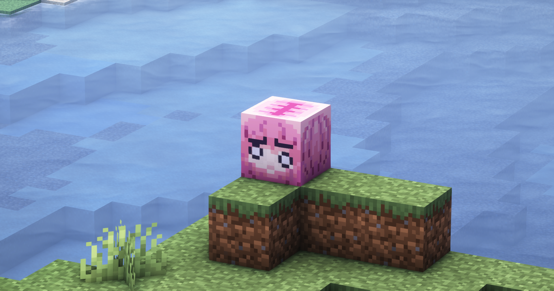 Bocchi the Block!