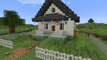 Bone Blocks