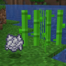 Bone Meal Sugar Cane