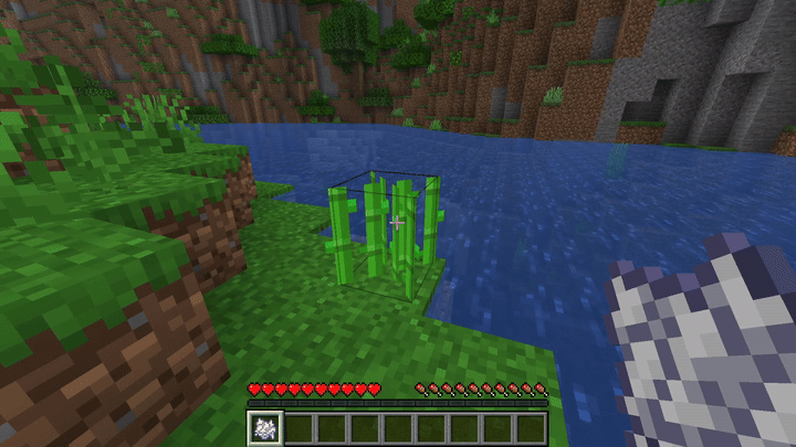 Bone Meal Sugar Cane