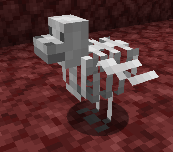 Bones