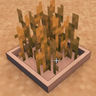 Bonsai Crops