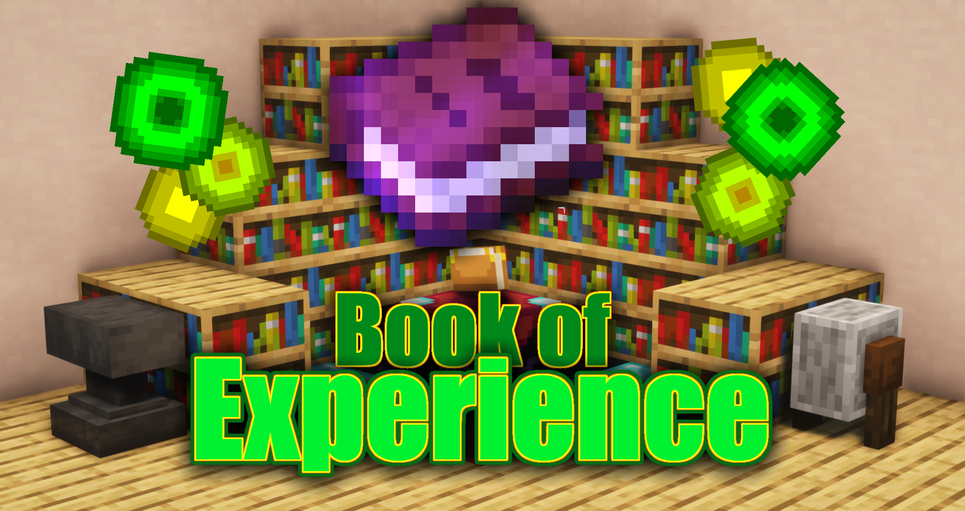 Book of Experience