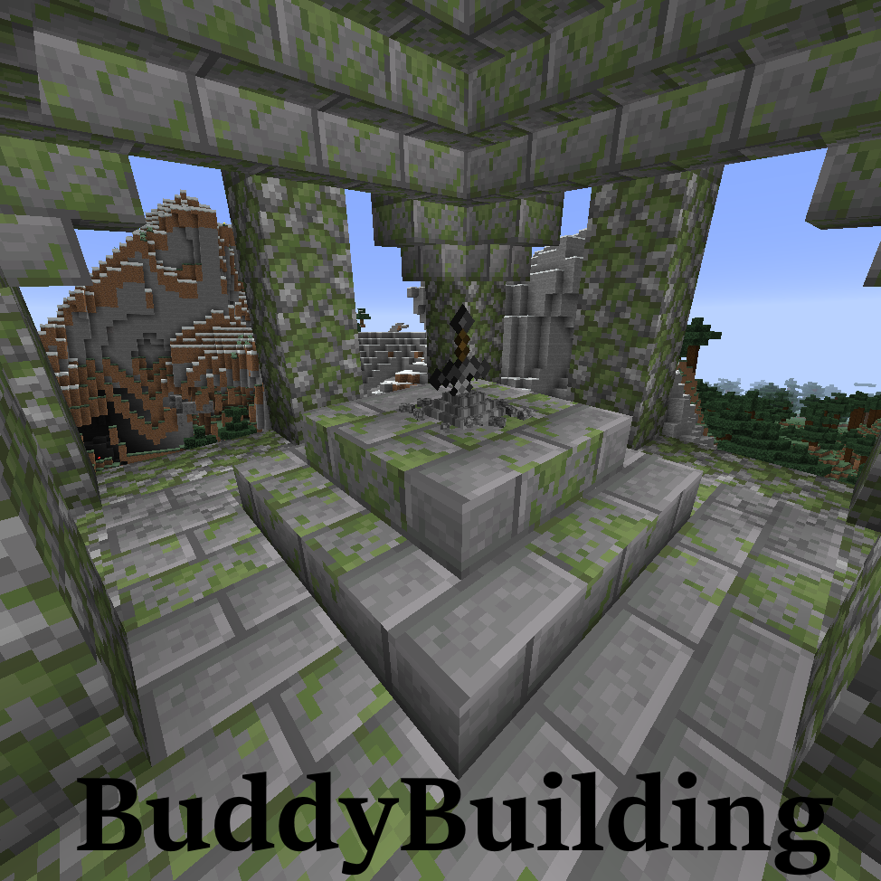 BUDDYBUILDING