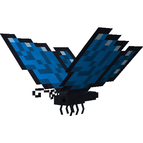 Butterflies and Dragonflies