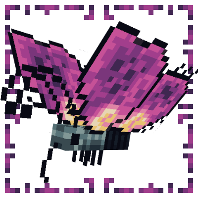 Butterflies Expansion!