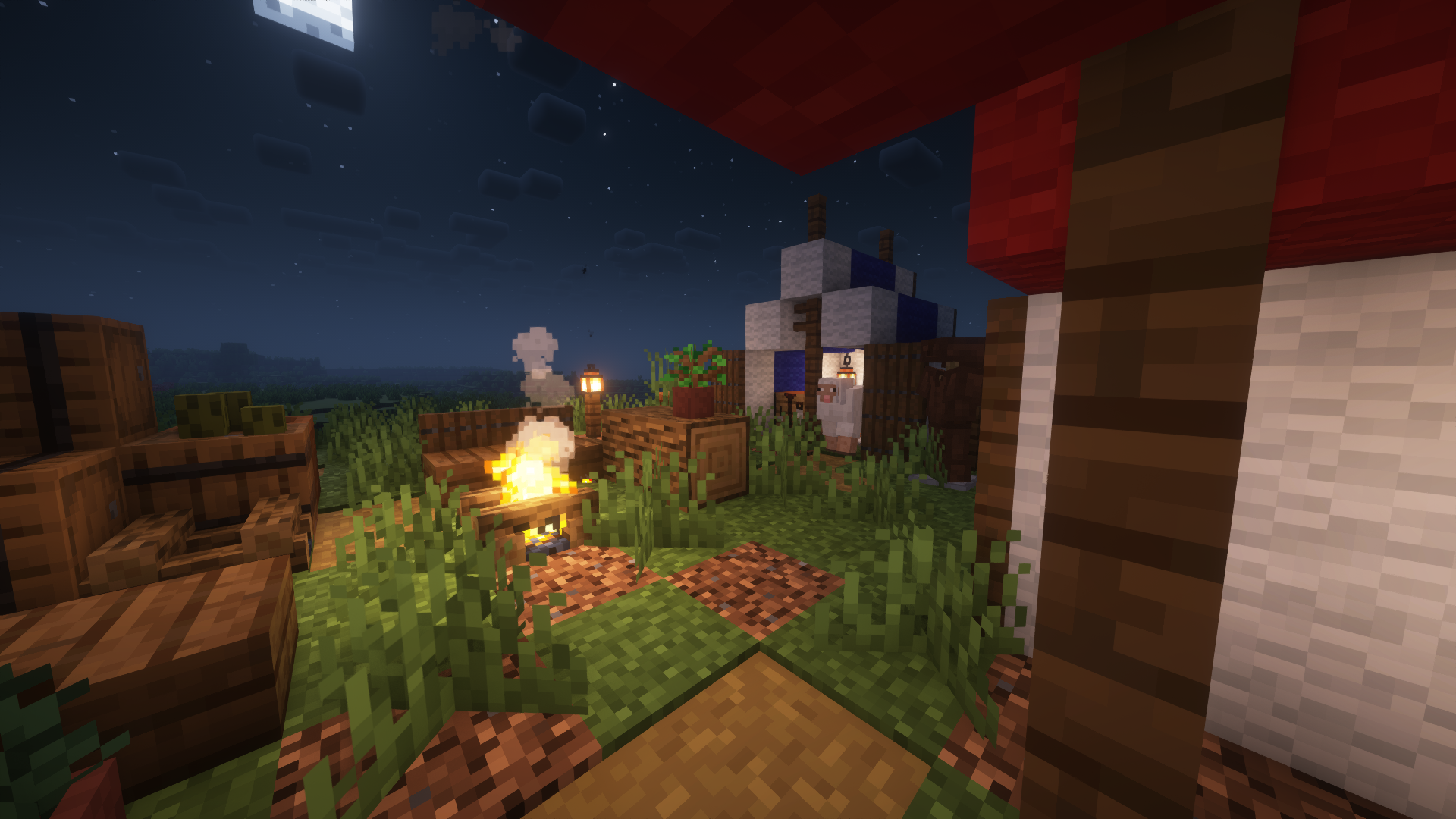 Campsite