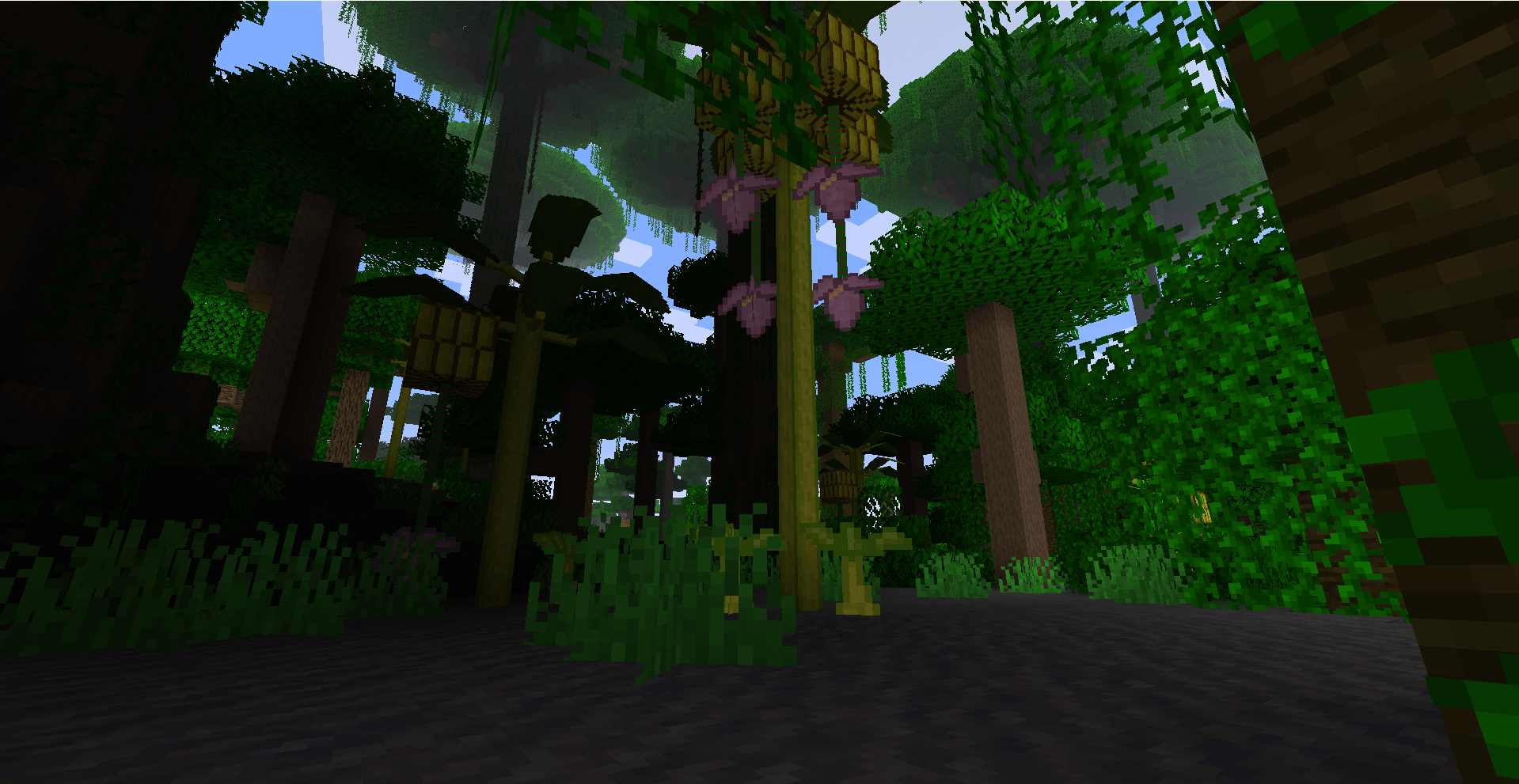 Canopy