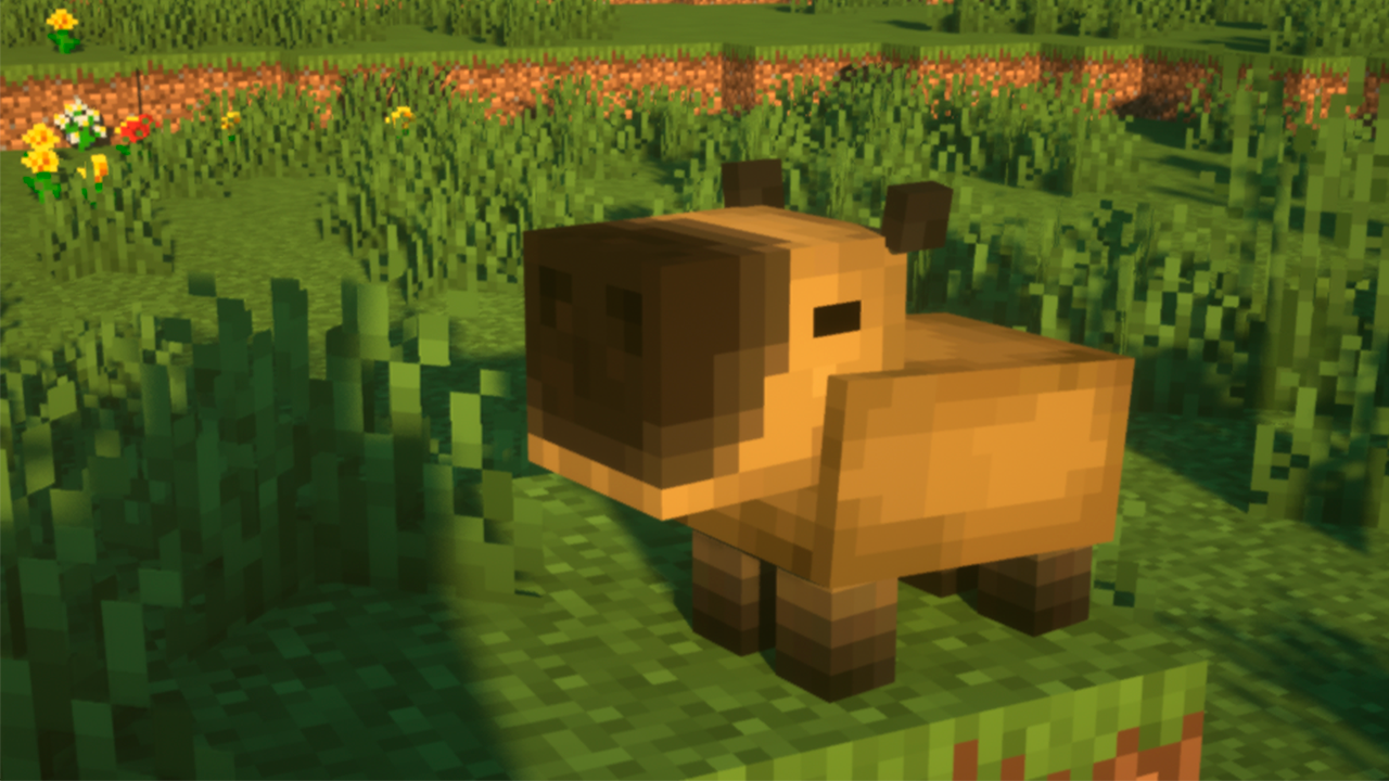Capivara - Capybara