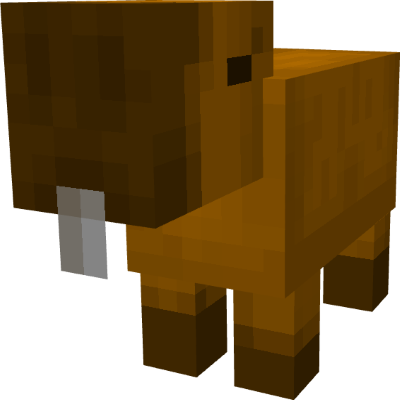 Capybaras