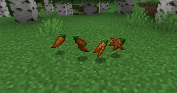 Carrot Rarity
