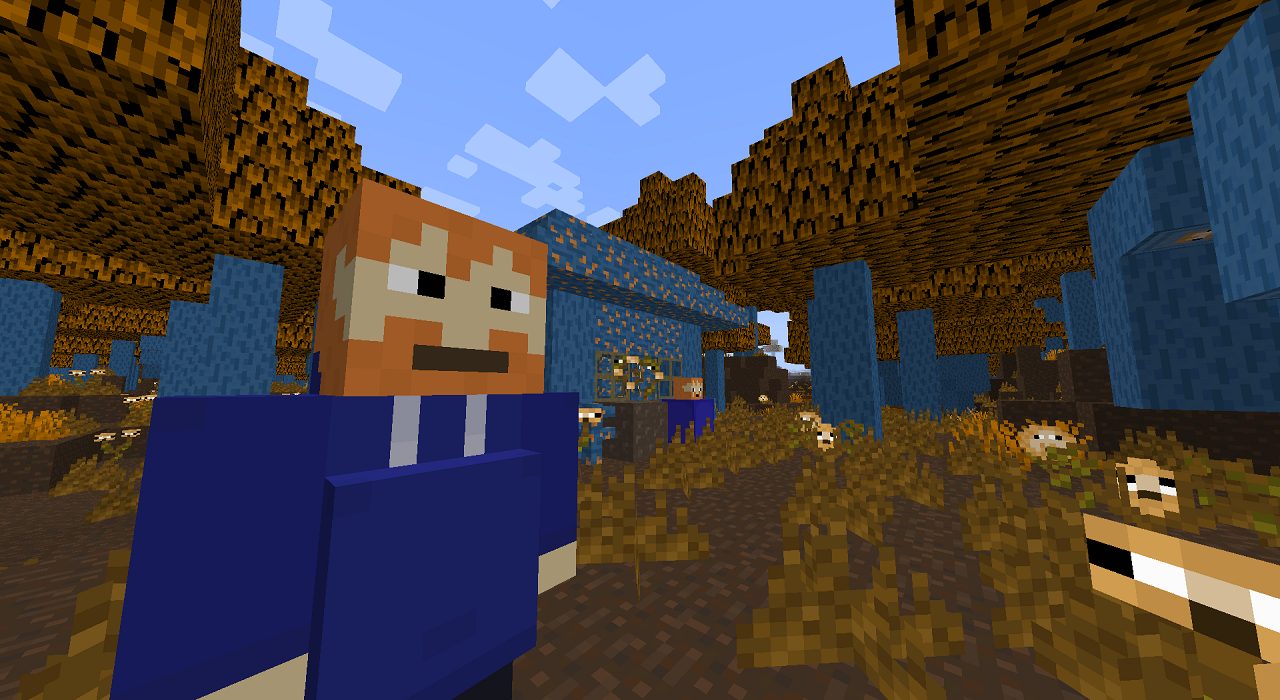 Addons CaseOh Craft — Minecraft Mods — MetaMods