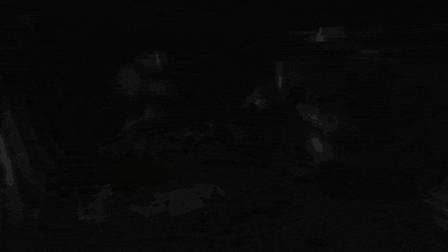 Cave Vision