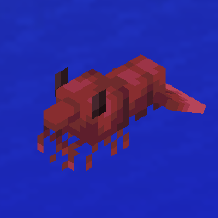 Cherry Shrimp